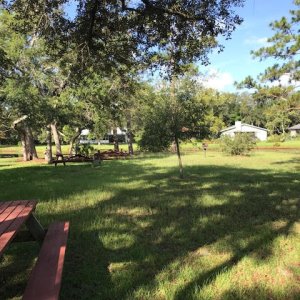 picnic-area
