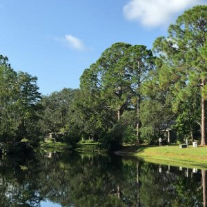 pond