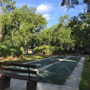 shuffleboard