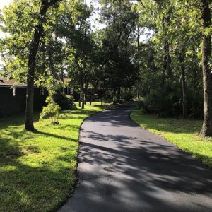 walkway-by-cypress-pond